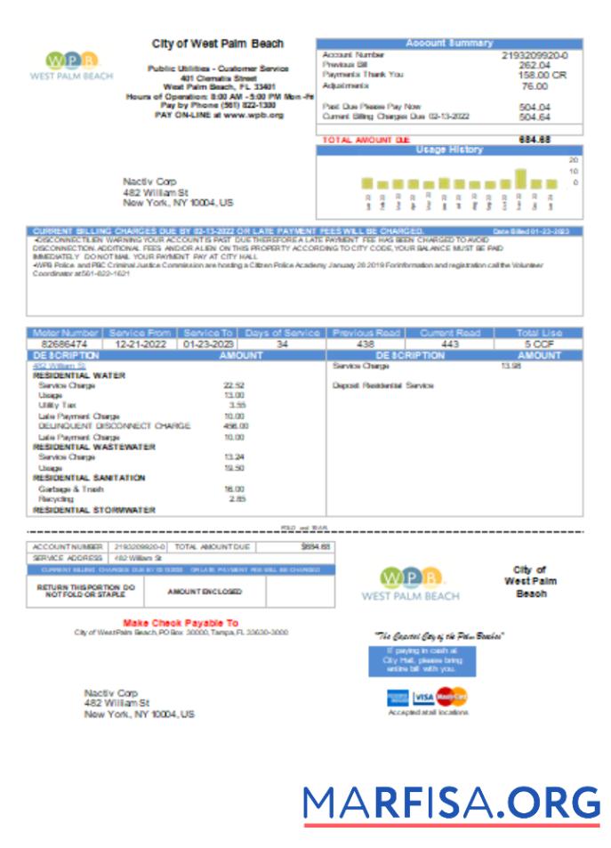 Realistic West Palm Beach Pub Utilities utility business bill SCR download for verification